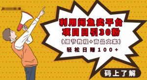 利用闲鱼卖平台项目课程资源日引流30 精准粉丝，轻松日赚100 ，积累人脉可实现二次变现（细节教程 商品文案）-克用笔记