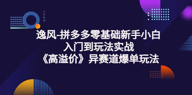 拼多多零基础新手小白入门到玩法实战《高溢价》异赛道爆单玩法实操课-克用笔记
