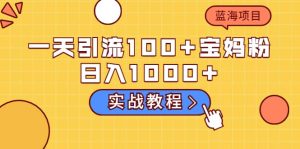 一天引流100 宝妈粉，日入1000 的蓝海项目（实战教程）-克用笔记