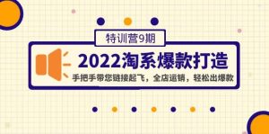 2022淘系爆款打造特训营9期：手把手带您链接起飞，全店运销，轻松出爆款-克用笔记