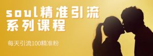 soul精准引流系列课程，每天引流100精准粉-克用笔记