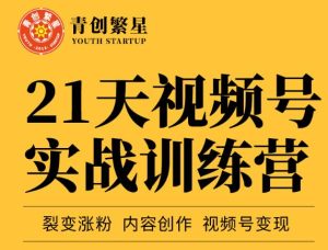 张萌21天视频号实战训练营，裂变涨粉、内容创作、视频号变现 价值298元-克用笔记