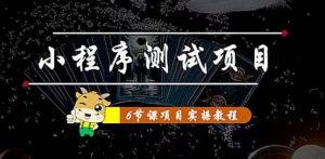 小程序测试项目 从星图 搞笑 网易云 实拍 单品爆破 抖音抖推猫小程序变现-克用笔记