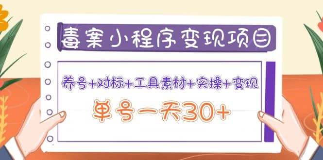 毒案小程序变现项目：养号 对标 工具素材 实操 变现-克用笔记