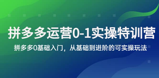 拼多多-运营0-1实操训练营，拼多多0基础入门，从基础到进阶的可实操玩法-克用笔记