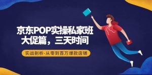 京东POP实操私家班：大促篇，3天时间，实战剖析-从零到百万爆款店铺-克用笔记
