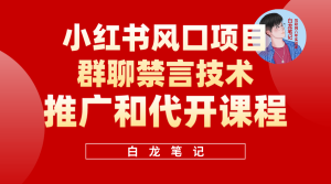 小红书风口项目日入300 ，小红书群聊禁言技术代开项目，适合新手操作-克用笔记