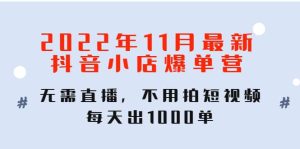 2022年11月最新抖音小店爆单训练营：无需直播，不用拍短视频，每天出1000单-克用笔记