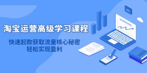淘宝运营高级学习课程：快速获取流量核心秘密，轻松实现盈利！-克用笔记