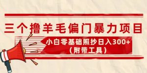 外面卖998的三个撸羊毛项目，小白零基础照抄（附带工具）-克用笔记