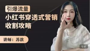 苏歆：小红书穿透式营销收割攻略，引爆流量，助你玩转小红书-克用笔记