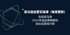 亚马逊运营实操课（每周更新）包括亚马逊2022选品策略解析，综合运营技巧等-克用笔记