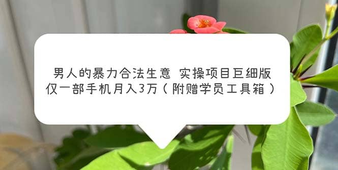 男人的暴力合法生意实操项目巨细版：仅一部手机月入3w（附赠学员工具箱）-克用笔记