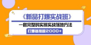 《新品打爆实战班》一套完整的实操实战落地方法，打爆链接超2000 （38节课)-克用笔记