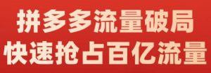 阿杰·拼多多流量破局:如何打黑标，爆款的思路，拼多多流量框架，快速抢占百亿流量-克用笔记