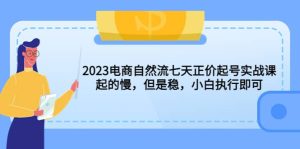2023电商自然流七天正价起号实战课：起的慢，但是稳，小白执行即可-克用笔记