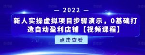 新人实操虚拟项目步骤演示，0基础打造自动盈利店铺【视频课程】-克用笔记