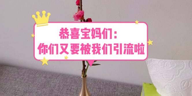 恭喜宝妈们：你们又要被我们引流了（教程 222g资料）-克用笔记