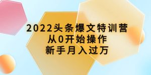2022头条爆文特训营：从0开始操作，新手月入过万（16节课时）-克用笔记