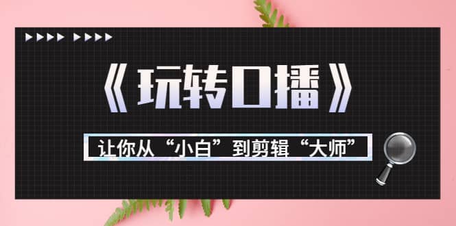 月营业额700万 大佬教您《玩转口播》让你从“小白”到剪辑“大师”-克用笔记