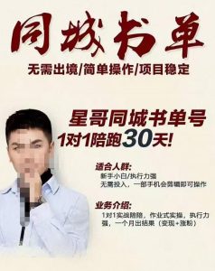 星哥同城教育书单号课程，无需出境简单操作项目稳定-克用笔记