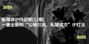 新媒体IP内训营(12期)，一套全新的“公域引流，私域成交”IP打法，直接带走-克用笔记