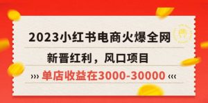 2023小红书电商火爆全网，新晋红利，风口项目，单店收益在3000-30000-克用笔记