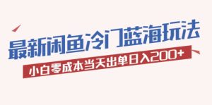 2023最新闲鱼冷门蓝海玩法，小白零成本当天出单日入200-克用笔记