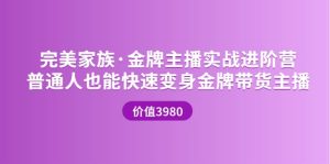 金牌主播实战进阶营 普通人也能快速变身金牌带货主播 (价值3980)-克用笔记