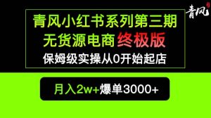 小红书无货源电商爆单终极版【视频教程 实战手册】保姆级实操从0起店爆单-克用笔记