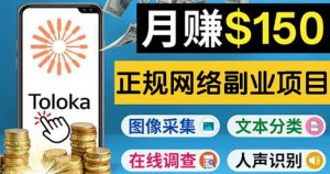 正规网络副业赚钱平台Toloka，利用业余时间月赚150美元-克用笔记