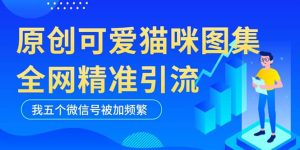 黑科技纯原创可爱猫咪图片，全网精准引流，实操5个VX号被加频繁-克用笔记