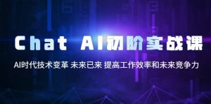 Chat AI初阶实战课，AI时代技术变革 未来已来 提高工作效率和未来竞争力-克用笔记