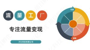 收费3980的流量工厂回粉项目，号称1个粉10元【详细玩法教程解析】-克用笔记