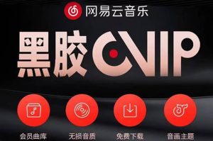 网易云撸黑胶年卡及变现方法，收益可无限放大-克用笔记