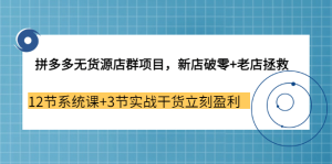 拼多多无货源店群项目，新店破零 老店拯救 12节系统课 3节实战干货立刻盈利-克用笔记