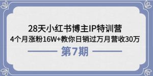 28天小红书博主IP特训营《第6 7期》4个月涨粉16W 教你日销过万月营收30万-克用笔记