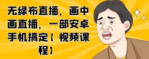 无绿布直播，画中画直播，一部安卓手机搞定【视频课程】-克用笔记
