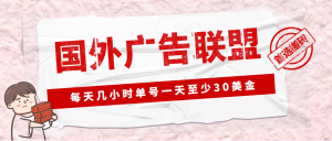 外面收费1980最新国外LEAD广告联盟搬砖项目，单号一天至少30美元(详细教程)-克用笔记