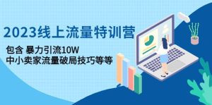 2023线上流量特训营：中小卖家流量破局技巧等等-克用笔记