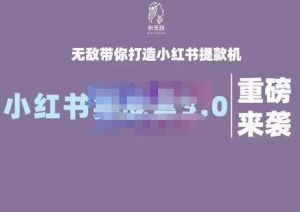 谢无敌·小红书实战营3.0，无敌带你打造小红书提款机 价值7999元-克用笔记