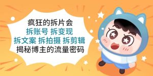 疯狂的拆片会：拆账号 拆变现 拆文案 拆拍摄 拆剪辑 揭秘博主的流量密码-克用笔记