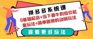 拼多多系统课：0基础起店 当下最牛的低价起量玩法 简单粗暴的动销玩法-克用笔记