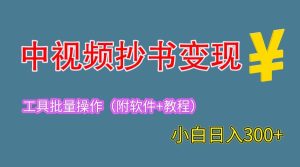 2023中视频抄书变现（附工具 教程），一天300 ，特别适合新手操作的副业-克用笔记