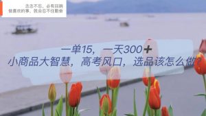 一单15，一天300 ，小商品大智慧，高考风口，选品该怎么布局-克用笔记