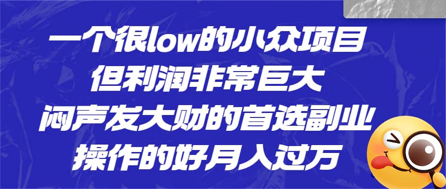 一个很low的小众项目，但利润非常巨大，闷声发大财的首选副业，月入过万-克用笔记