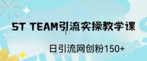 ST TEAM引流实操课，日引流网创粉100-克用笔记