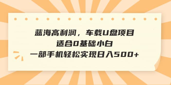 蓝海高利润，车载U盘项目，适合0基础小白，一部手机轻松实现日入500-克用笔记