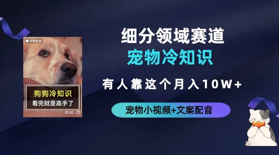 不起眼的抖音细分赛道-宠物冷知识，一段宠物视频配文案，有人靠这个月入10w-克用笔记