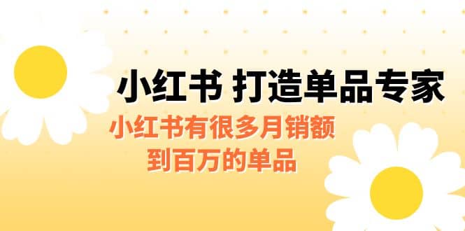 某公众号付费文章《小红书 打造单品专家》小红书有很多月销额到百万的单品-克用笔记